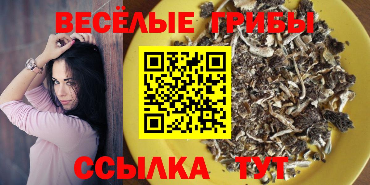 Галлюциногенные грибы прущие грибы Электрогорск