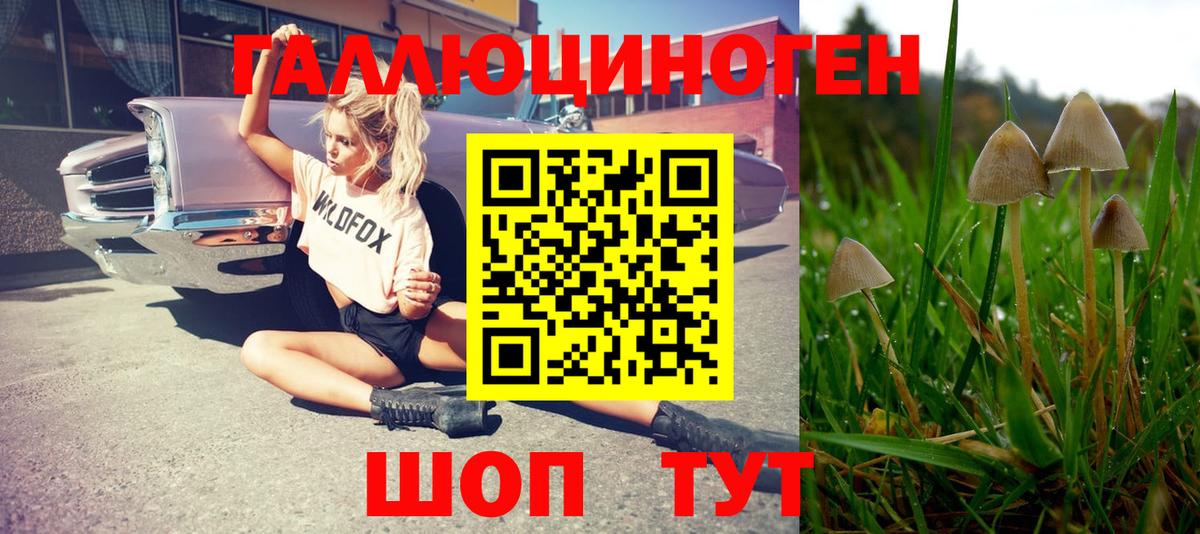 Электрогорск  Галлюциногенные грибы мицелий  Вход с VPN 
